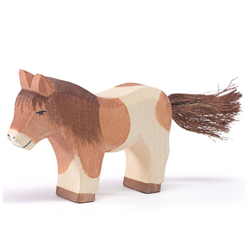 Shetland Pony stehend