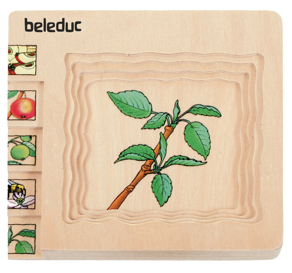 Lagenpuzzel Apfel Beleduc