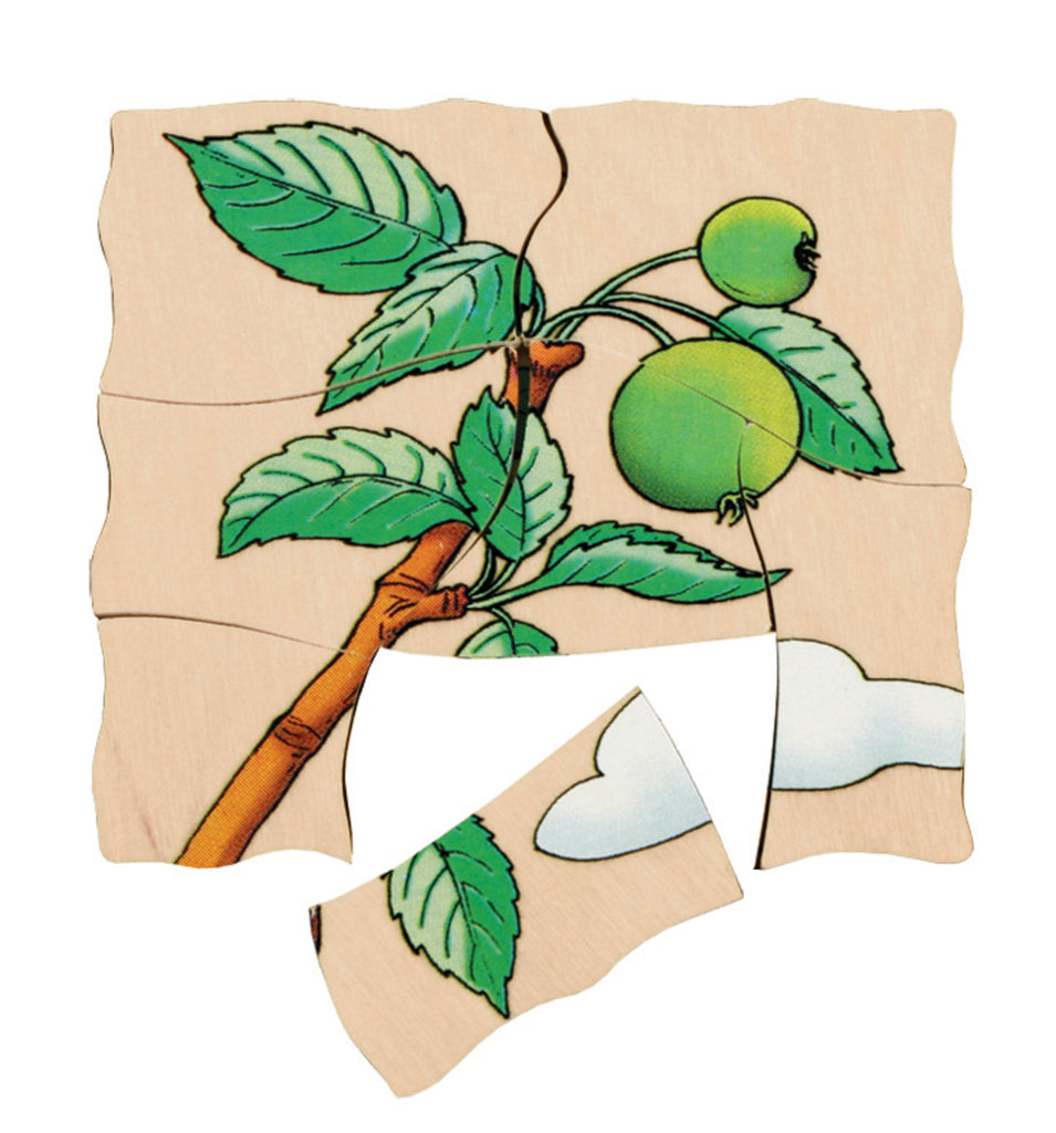 Lagenpuzzel Apfel Beleduc