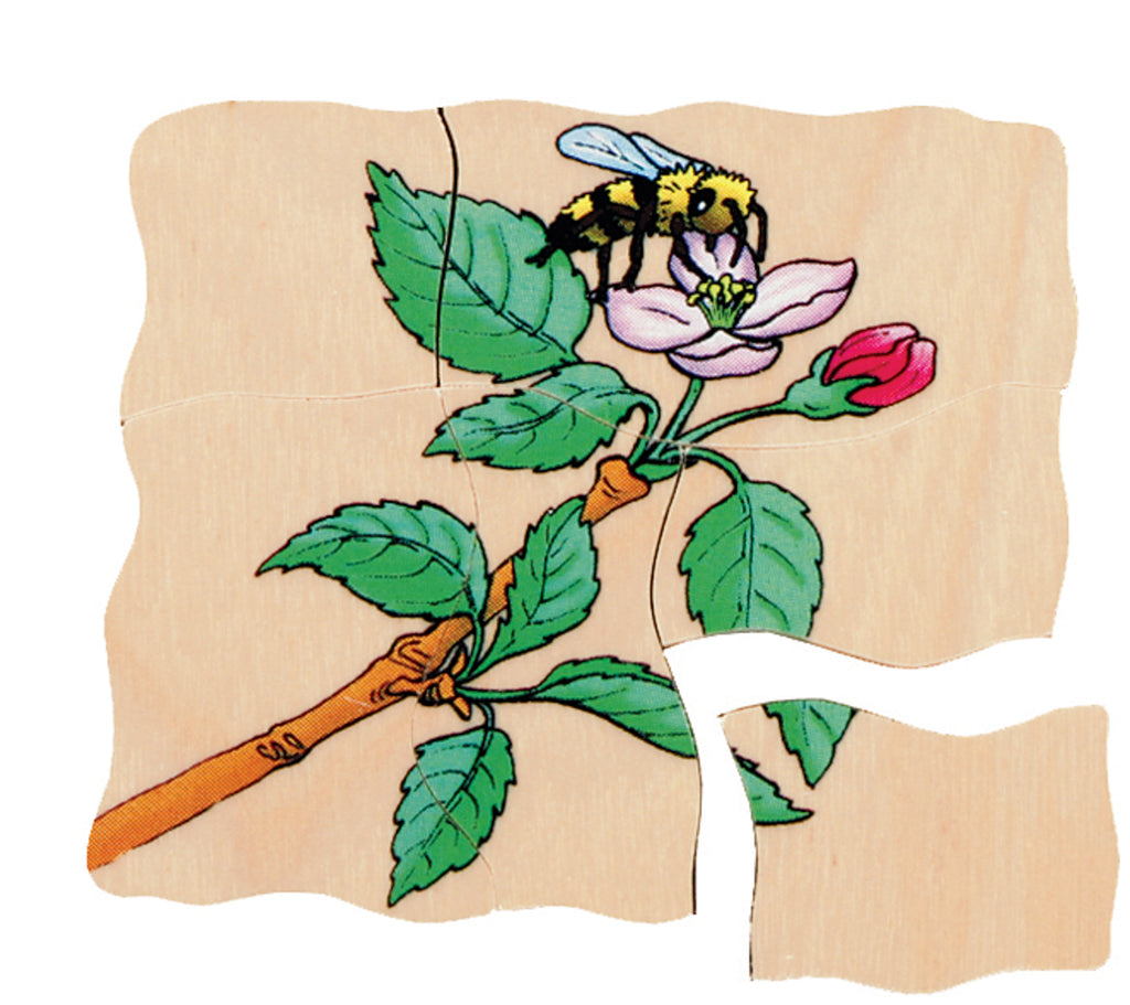 Lagenpuzzel Apfel Beleduc
