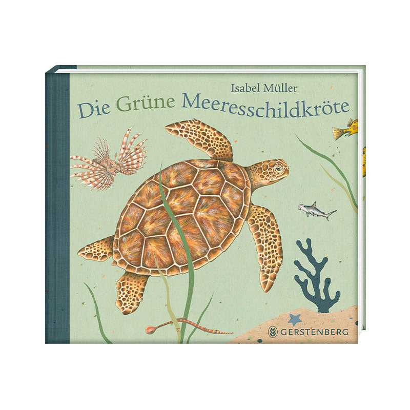 Die Grüne Meeresschildkröte Bilderbuch Kindergartenbedarf
