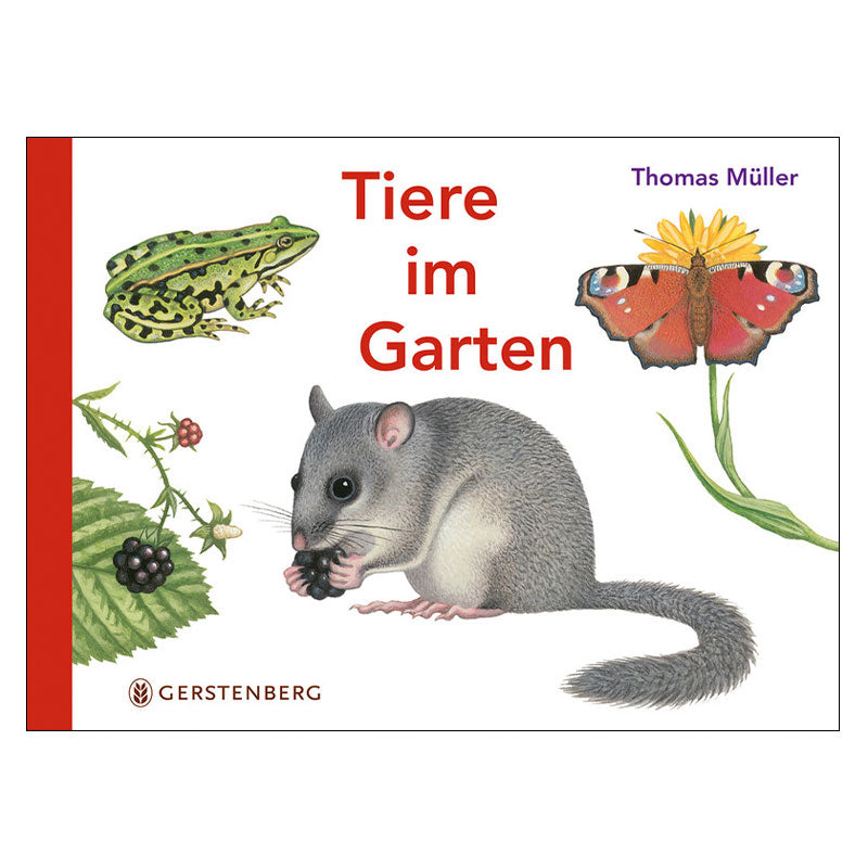 Tiere im Garten Bilderbuch