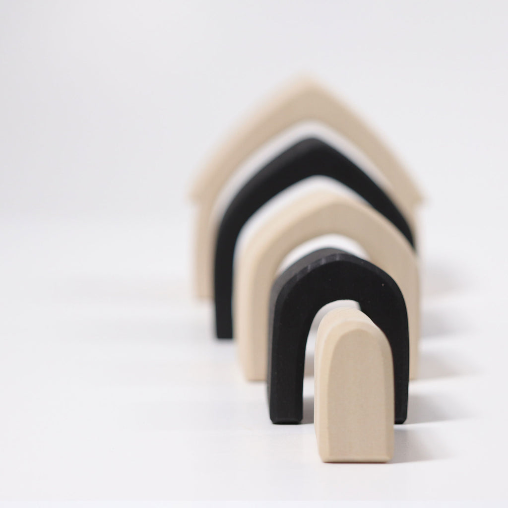 Haus monochron Holz